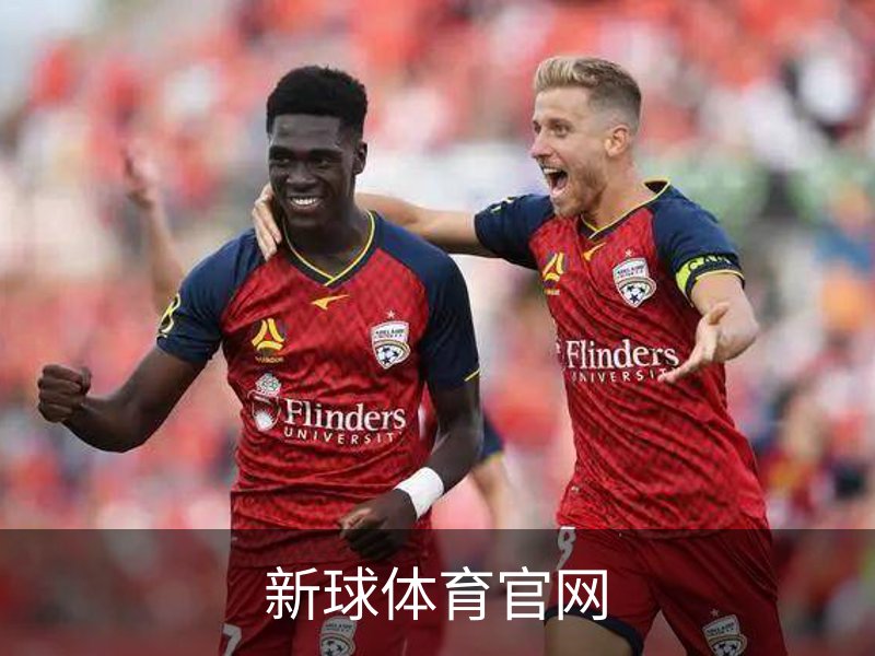 关于新球体育官网